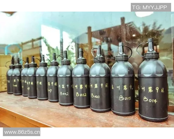 杭州极限运动队反击战术深度解析与实战应用探讨