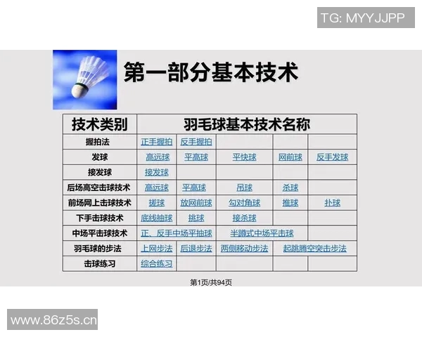 杭州羽毛球队的战术解析与转换体系探讨
